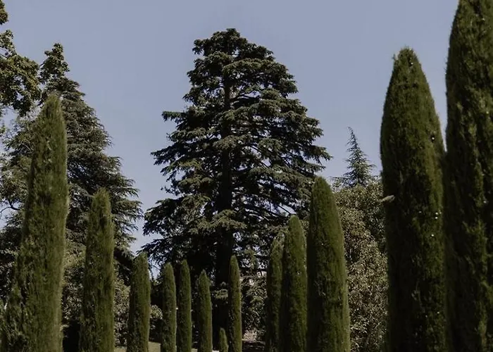 Schloss Freudenstein 5* Bolzano